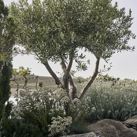 Отель Myconian Kyma, A Member Of Design