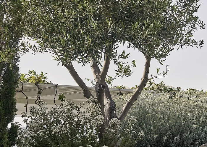 酒店 Myconian Kyma, A Member Of Design