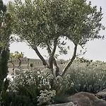 فندق Myconian Kyma, A Member Of Design